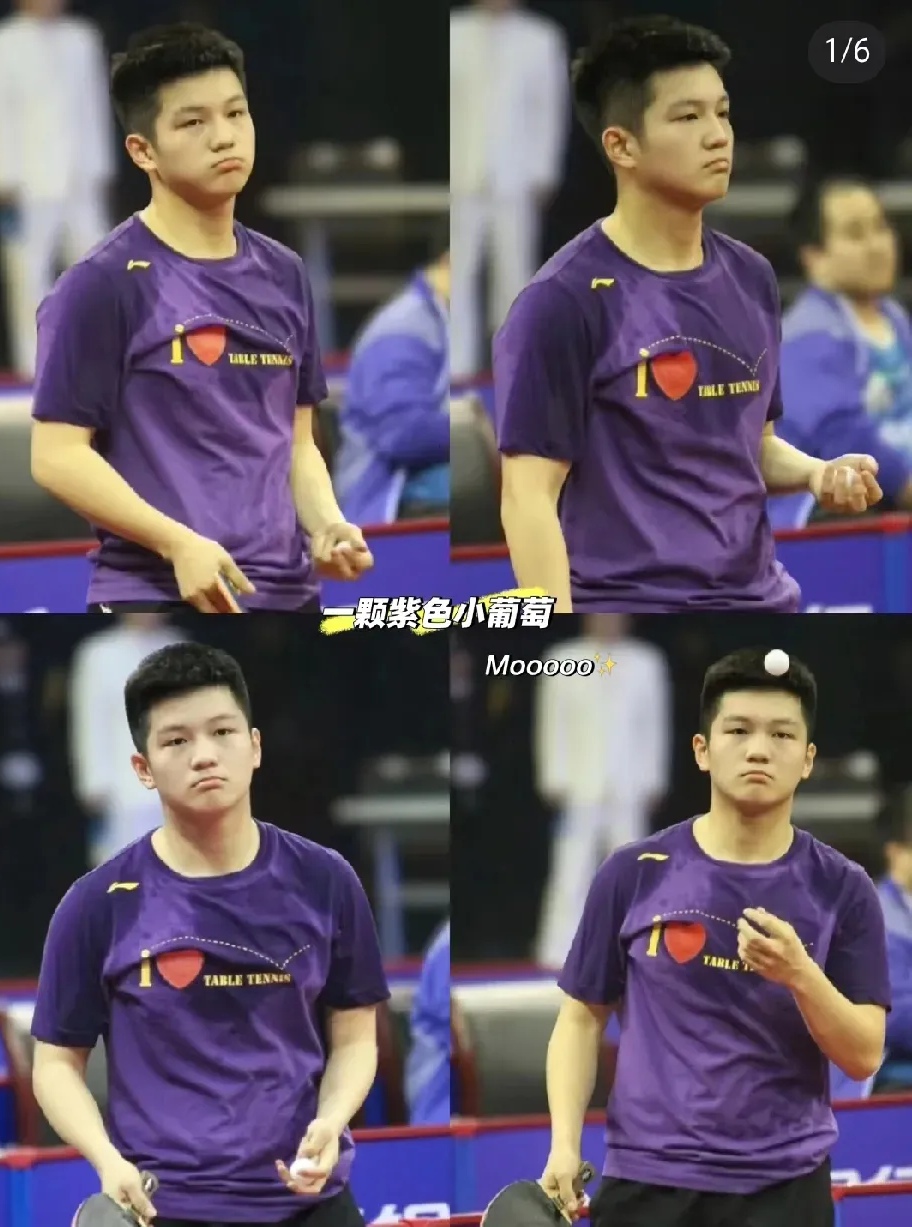 波兰队碾压奥地利队，樊振东惊艳四座的简单介绍