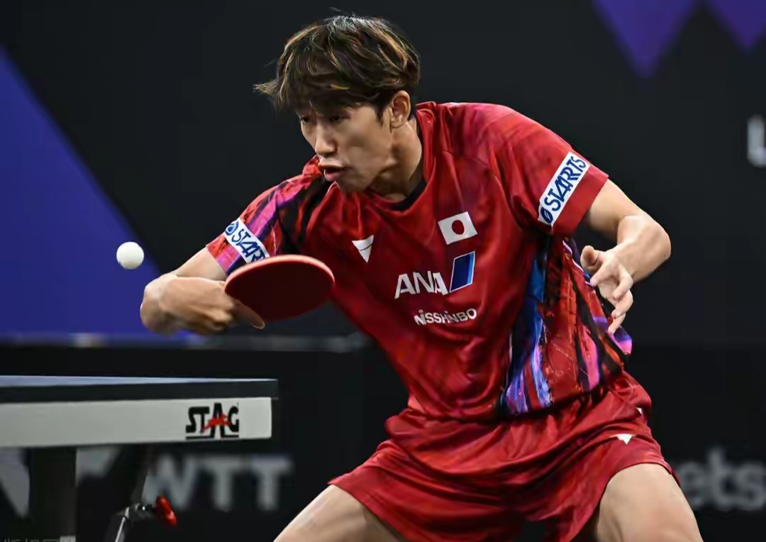 包含日本乒乓球队强势奥地利乒乓球队，王皓统治全场的词条