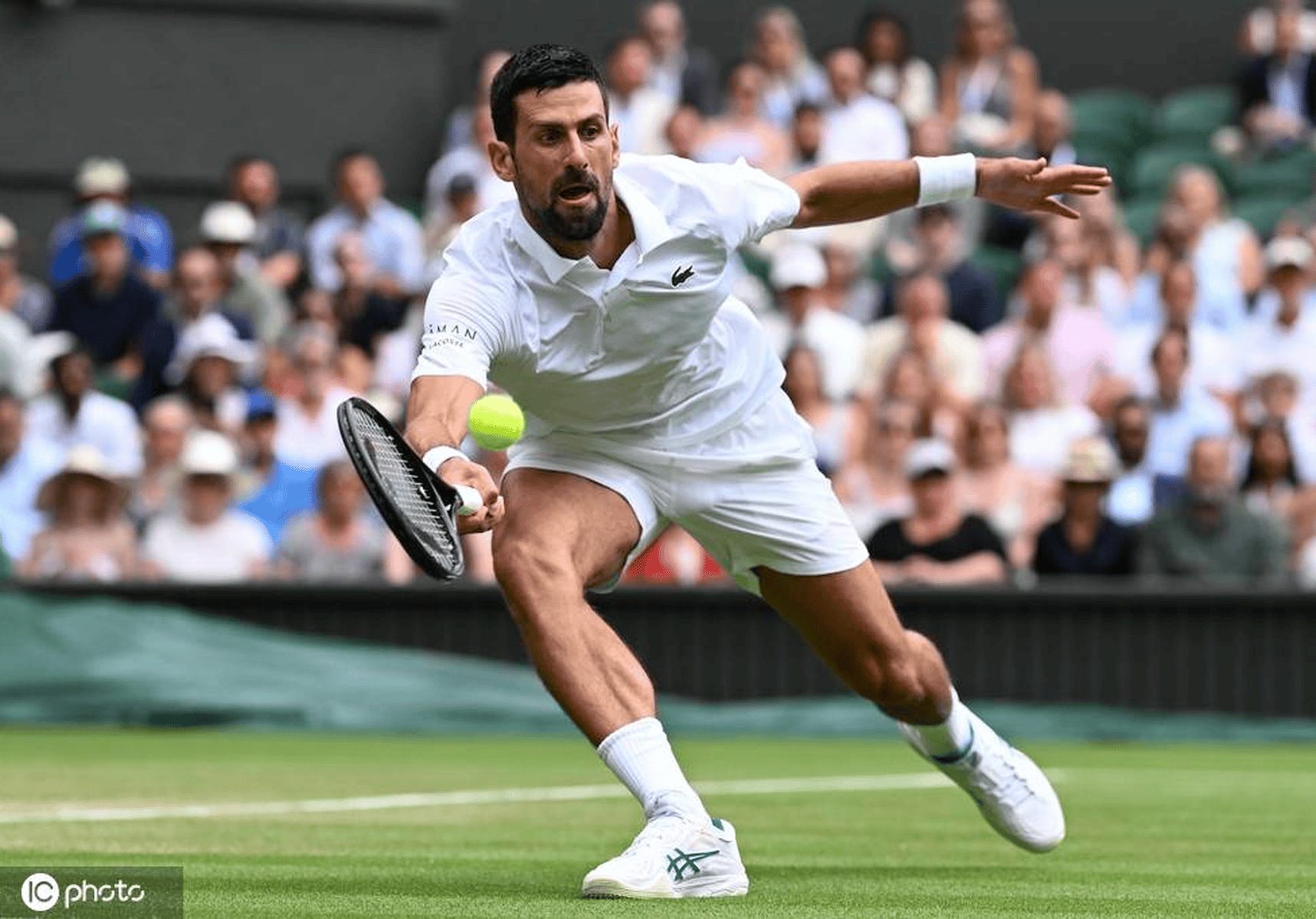 PG SOFT游戏-法网逆转温网，德约科维奇刷新纪录的简单介绍