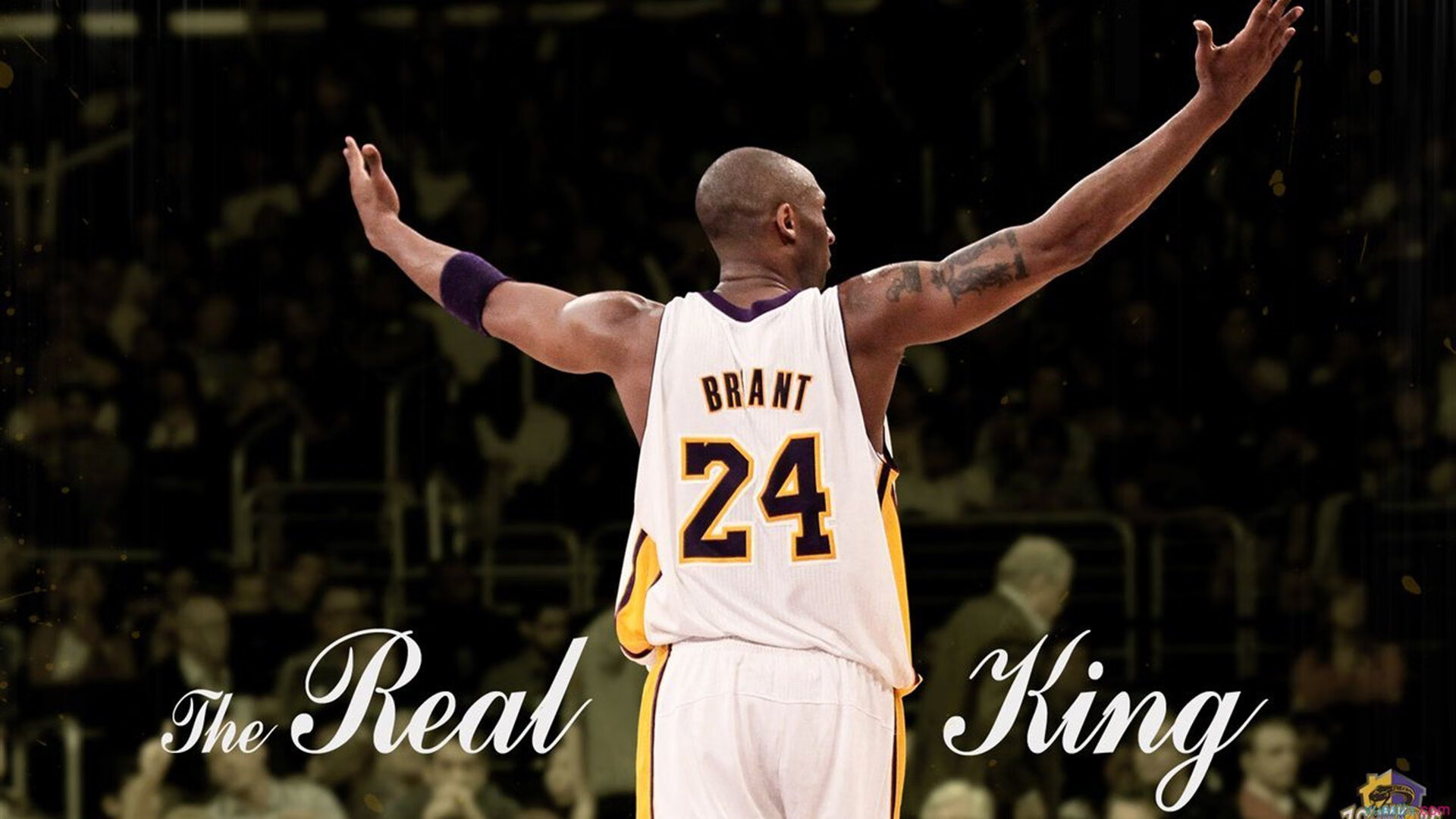 戈贝尔进攻端无人可挡，广东队横扫国王，当防守铁闸变身进攻核武