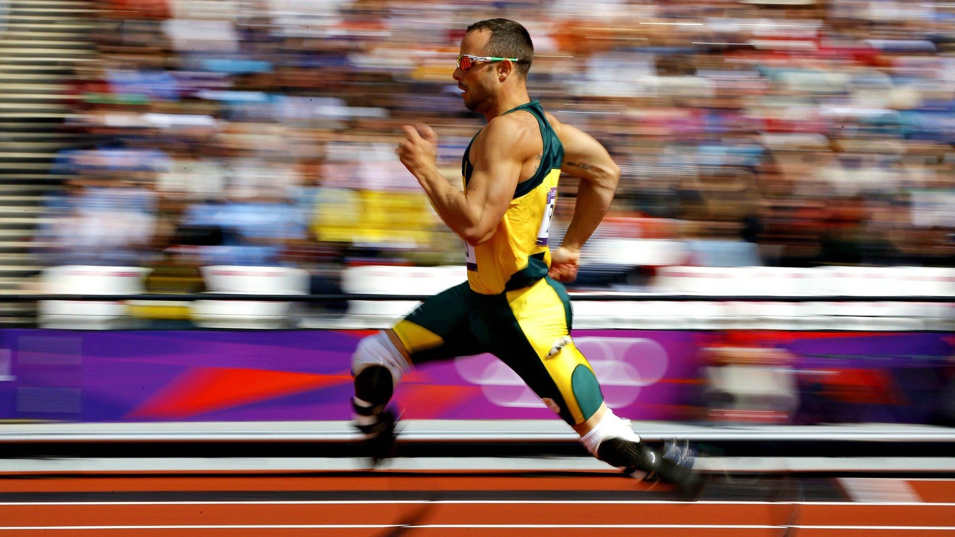 拉沃尔杯轻取联合杯，德约科维奇的高光时刻与网球格局的微妙变迁